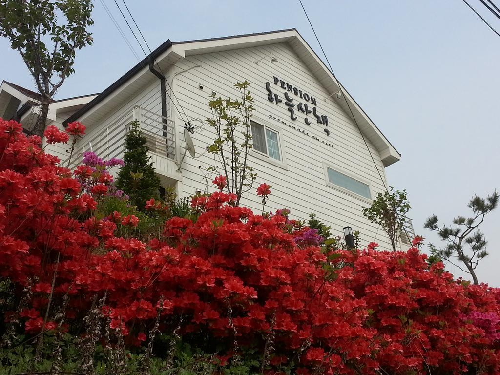 Walking Sky Pension Gapyeong Exterior foto